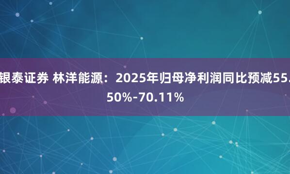 银泰证券 林洋能源：2025年归母净利润同比预减55.50%-70.11%