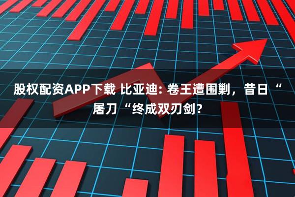 股权配资APP下载 比亚迪: 卷王遭围剿，昔日 “屠刀 “终成双刃剑？
